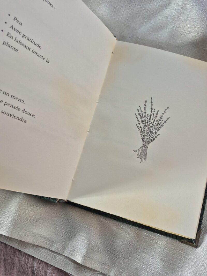 Sous la garde des plantes - Grimoire artisanal- Édition limitée 5 exemplaires numérotés