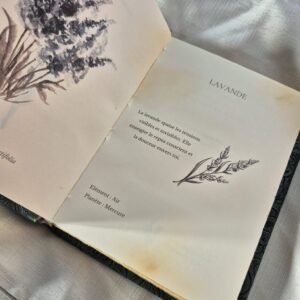 Sous la garde des plantes - Grimoire artisanal- Édition limitée 5 exemplaires numérotés