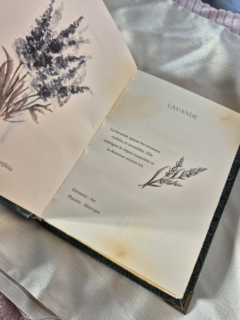 Sous la garde des plantes - Grimoire artisanal- Édition limitée 5 exemplaires numérotés