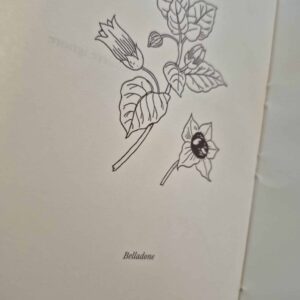 Sous la garde des plantes - Grimoire artisanal- Édition limitée 5 exemplaires numérotés