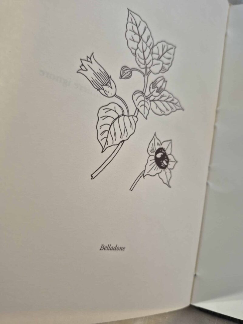 Sous la garde des plantes - Grimoire artisanal- Édition limitée 5 exemplaires numérotés