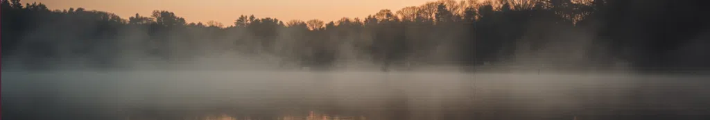 ambiance douce, lumière tamisée, brume légère