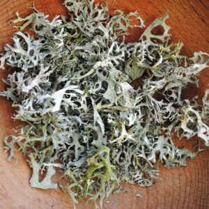 Lichen séché 10 gr pour rituels
