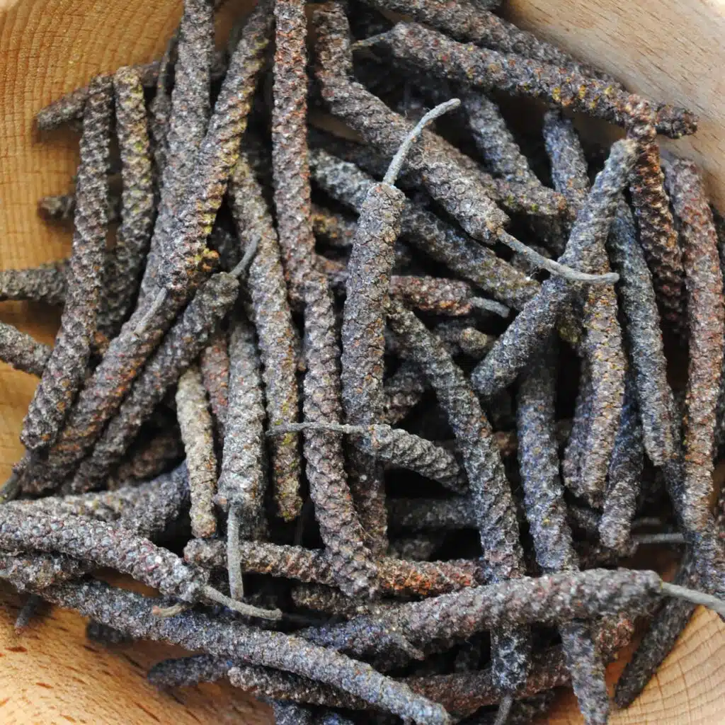 Chatons d'Aulne 40 gr - fleurs mâles d'aulne sauvage pour rituel