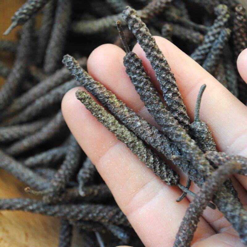Chatons d'Aulne 40 gr - fleurs mâles d'aulne sauvage pour rituel
