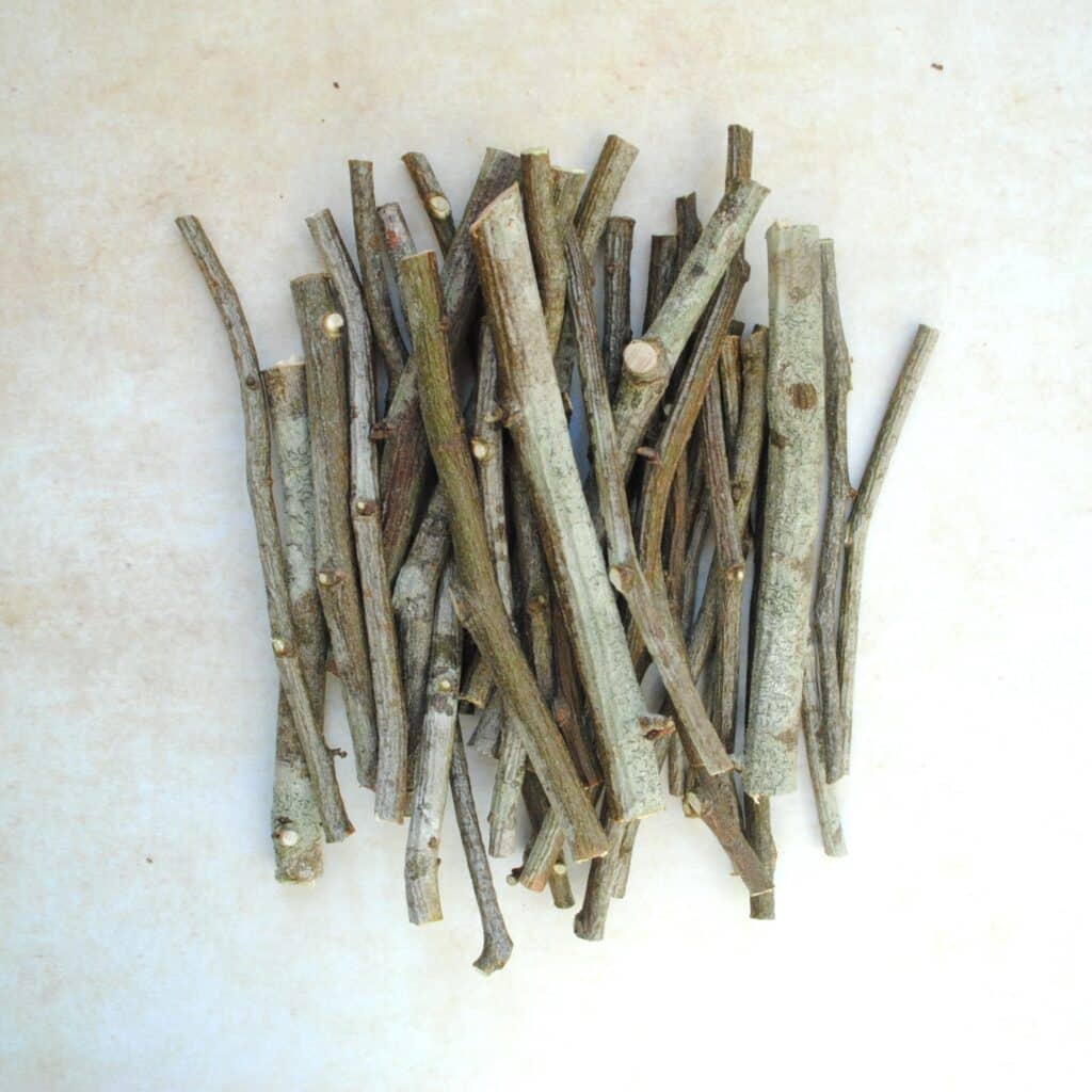Petites branches de charme Carpinus Betulus - 40 gr -