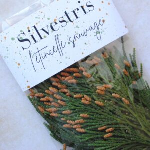 Calocèdre frais - petites branches fraiches- 20 gr pour fumigation