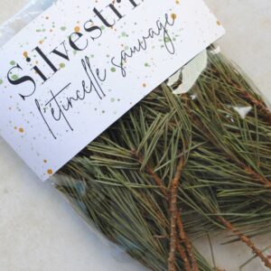 Pin Sylvestre petites branches séchées 10 gr pour fumigation