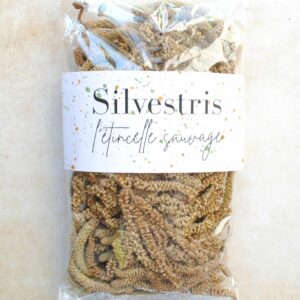 Chatons de noisetier 20 gr - fleurs mâles pour rituel