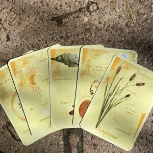 Oracle des 7 Couleurs – Jeu de cartes divinatoires