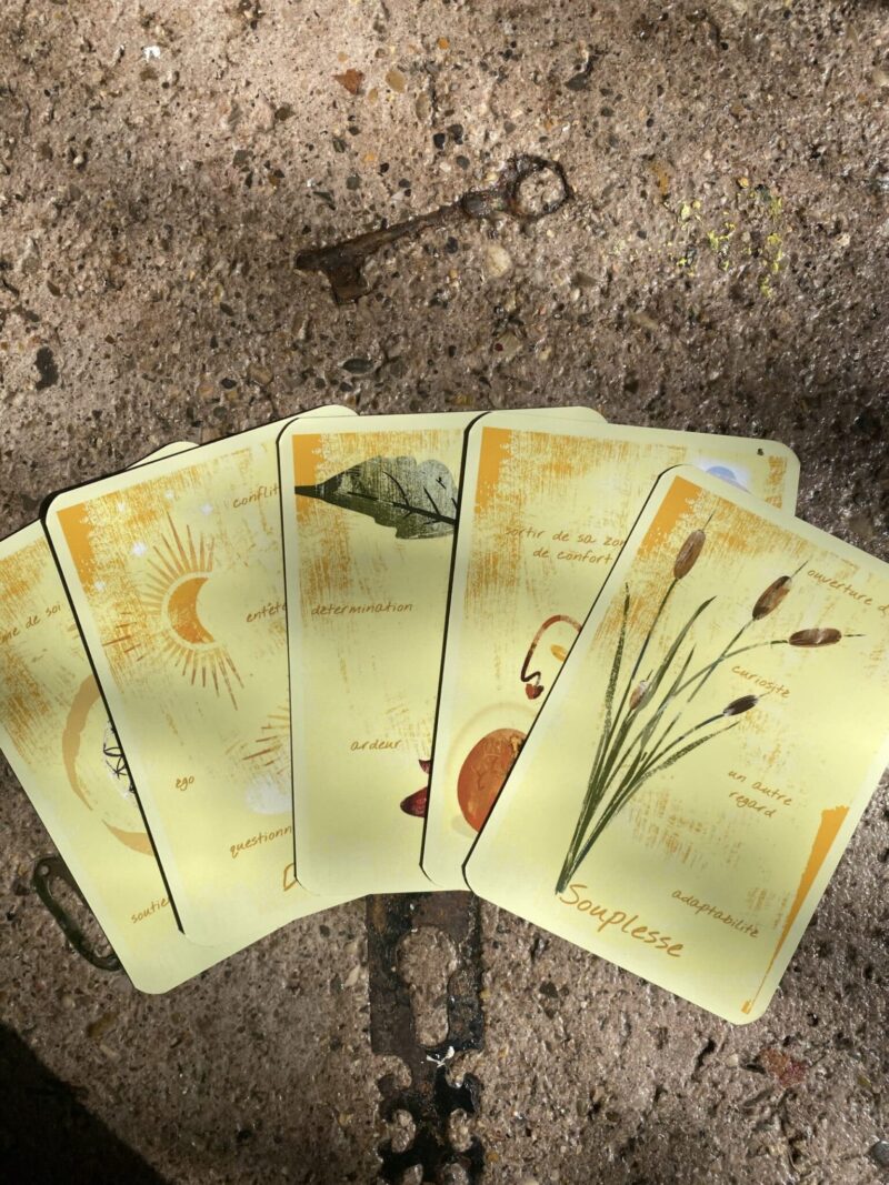 Oracle des 7 Couleurs – Jeu de cartes divinatoires
