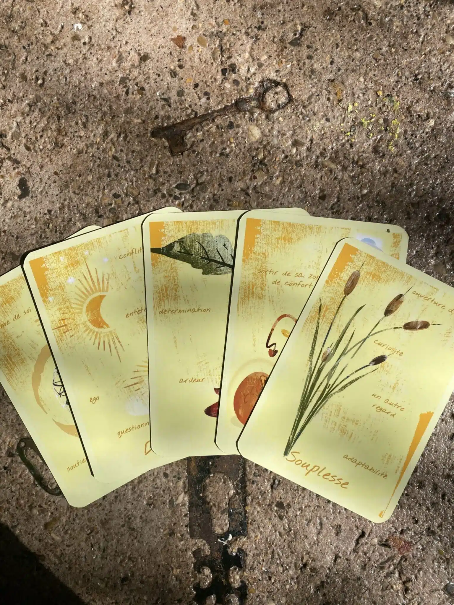 Oracle des 7 Couleurs – Jeu de cartes divinatoires – Image 6