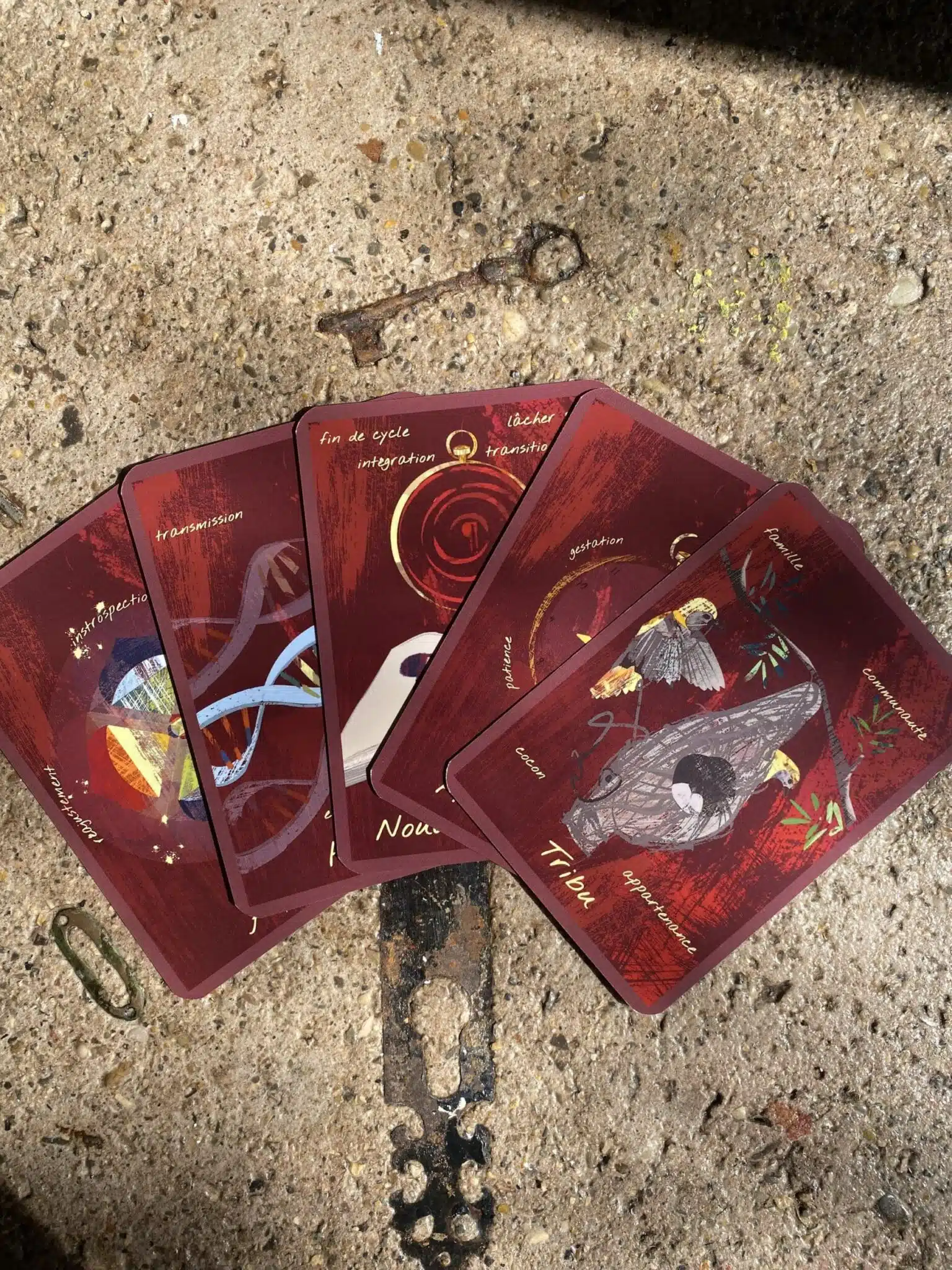 Oracle des 7 Couleurs – Jeu de cartes divinatoires – Image 2
