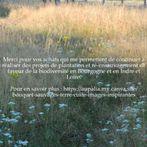 Paix intérieure - Mélange plantes séchées 20 gr pour rituels de fumigation