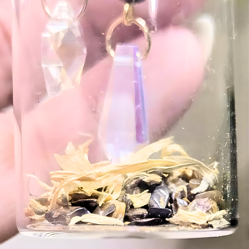 Fiole Herboréa – Calendula & Œil de Tigre