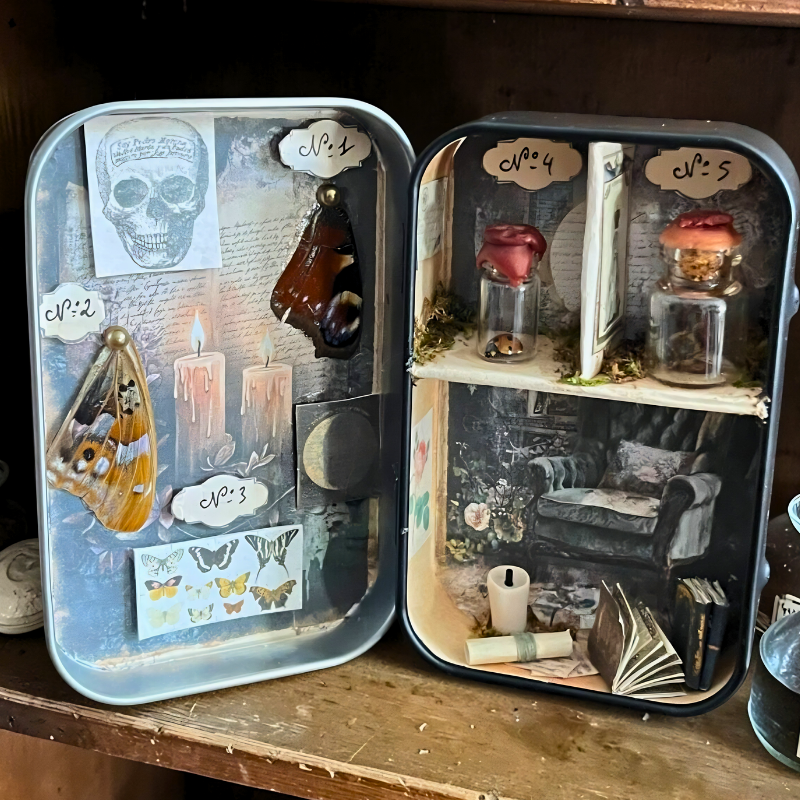 Les cabinets oubliés - Le salon de l'entomologiste