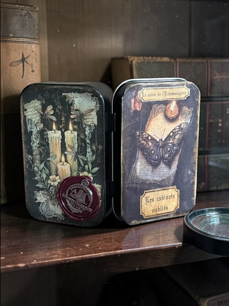 Les cabinets oubliés - Le salon de l'entomologiste