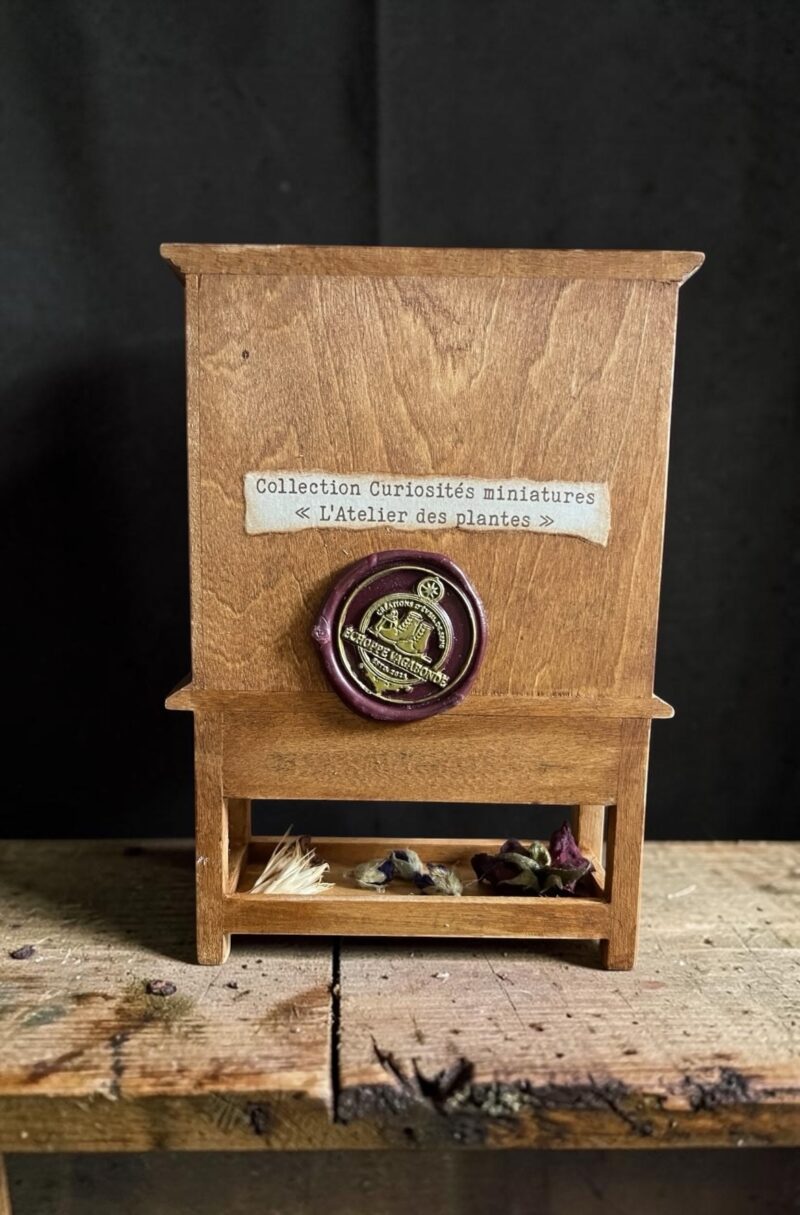 L'Atelier des plantes - Curiosité miniature