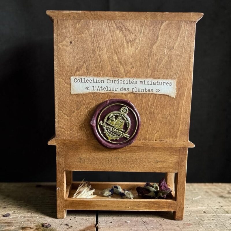 L'Atelier des plantes - Curiosité miniature