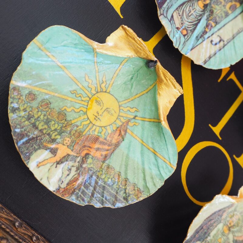 Coquille Saint-Jacques Soleil - Talisman de purification