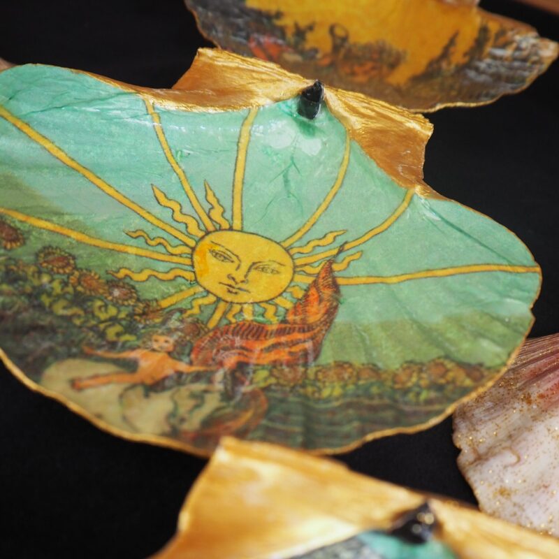 Coquille Saint-Jacques Soleil - Talisman de purification