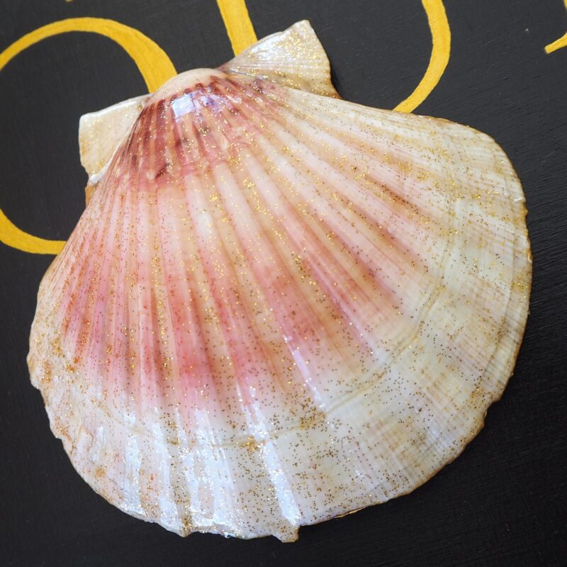 Coquille Saint-Jacques Papesse - Talisman de purification