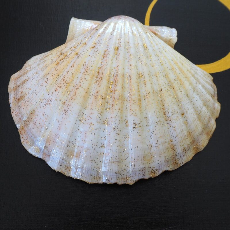 Coquille Saint-Jacques Impératrice -Talisman de Purification