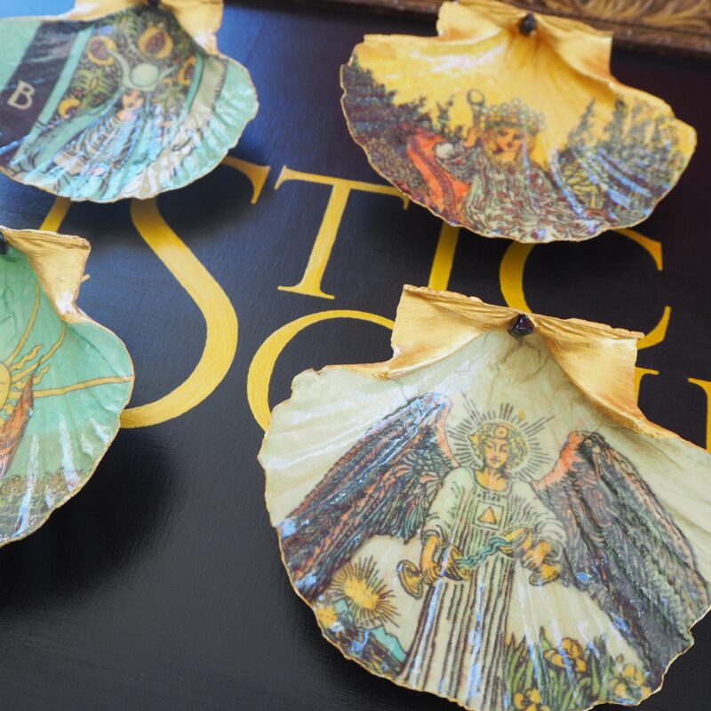 Coquille Saint-Jacques Tempérance - Talisman de purification