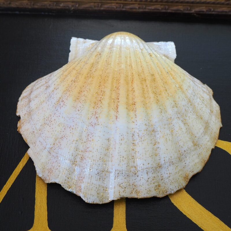Coquille Saint-Jacques Tempérance - Talisman de purification
