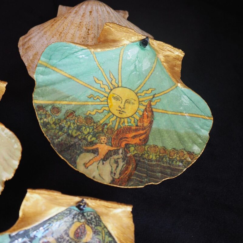 Coquille Saint-Jacques Soleil - Talisman de purification