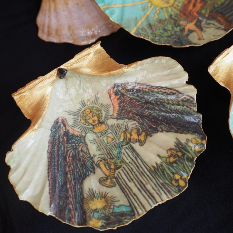 Coquille Saint-Jacques Tempérance - Talisman de purification