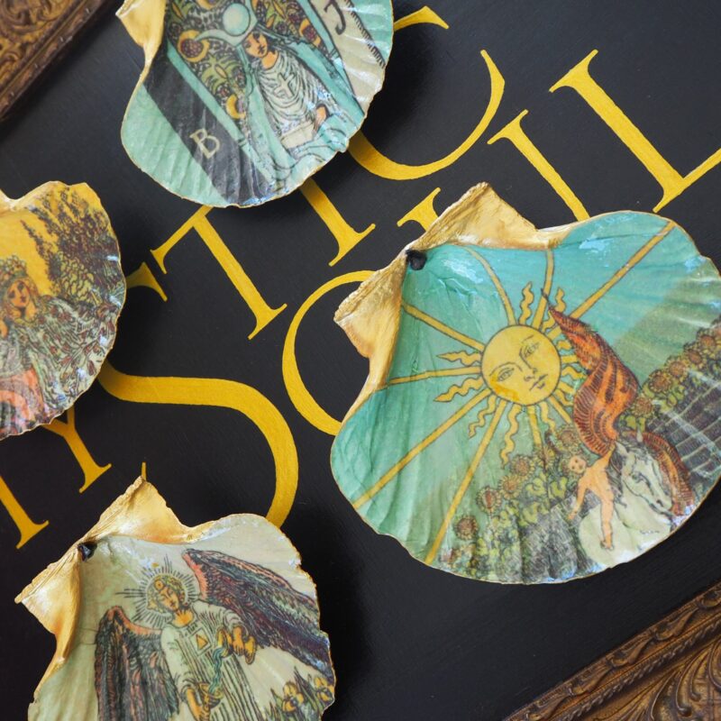Coquille Saint-Jacques Soleil - Talisman de purification