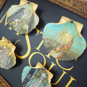 Coquille Saint-Jacques Soleil - Talisman de purification