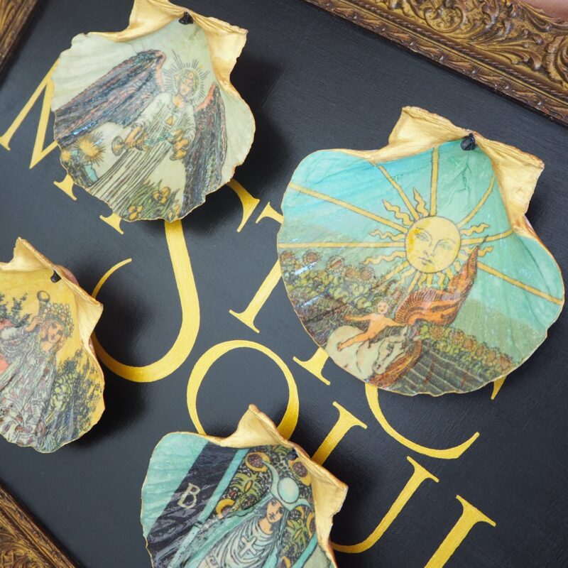 Coquille Saint-Jacques Soleil - Talisman de purification