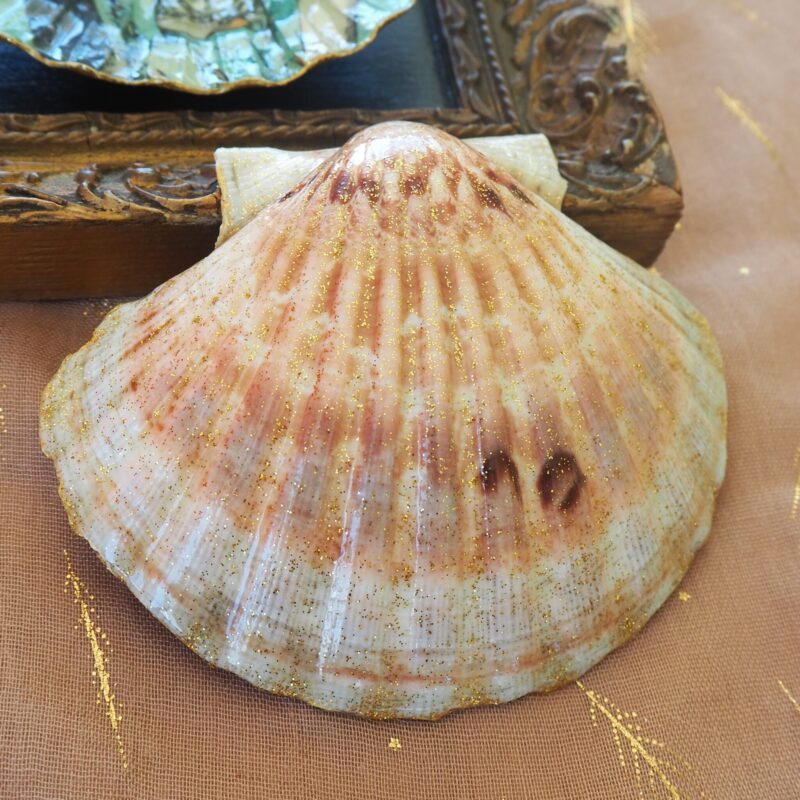 Coquille Saint-Jacques Tempérance - Talisman de purification