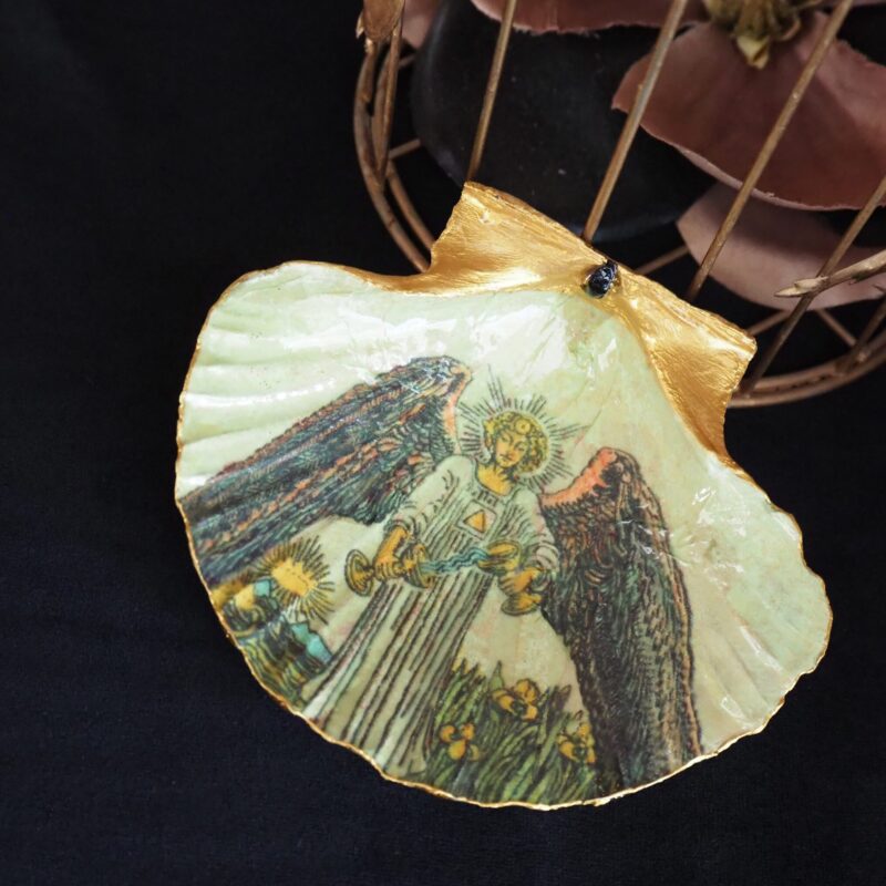 Coquille Saint-Jacques Tempérance - Talisman de purification