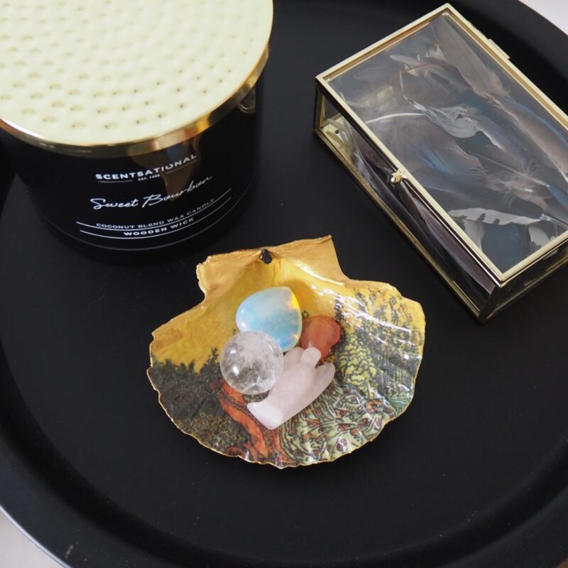 Coquille Saint-Jacques Impératrice -Talisman de Purification