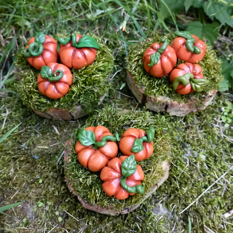 décoration citrouilles