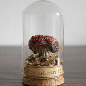 Sporée écarlate - Fiole miniature