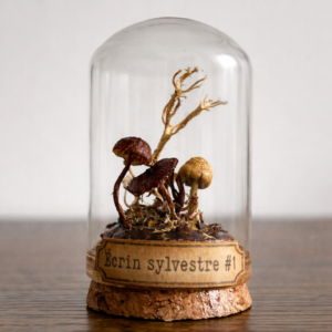 Vestige des sous-bois - Fiole miniature