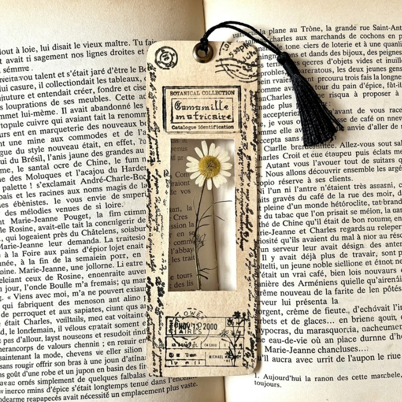 Marque-page Camomille - Collection botanique