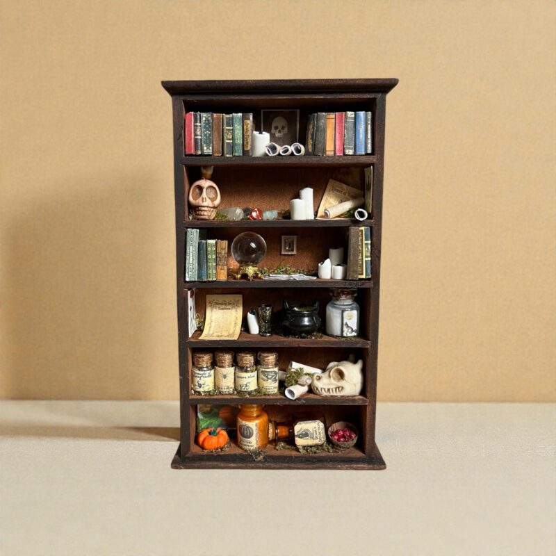 "La bibliothèque de l'Enchanteresse" - Curiosité miniature