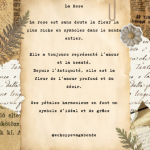 Bague « Mémoire de rose » - Collection Herbier figé