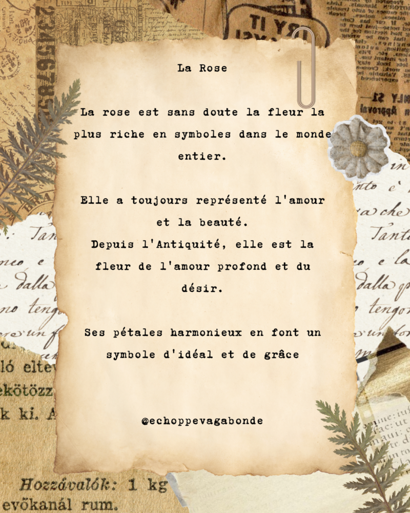 Bague « Mémoire de rose » - Collection Herbier figé