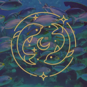pierre poisson astro