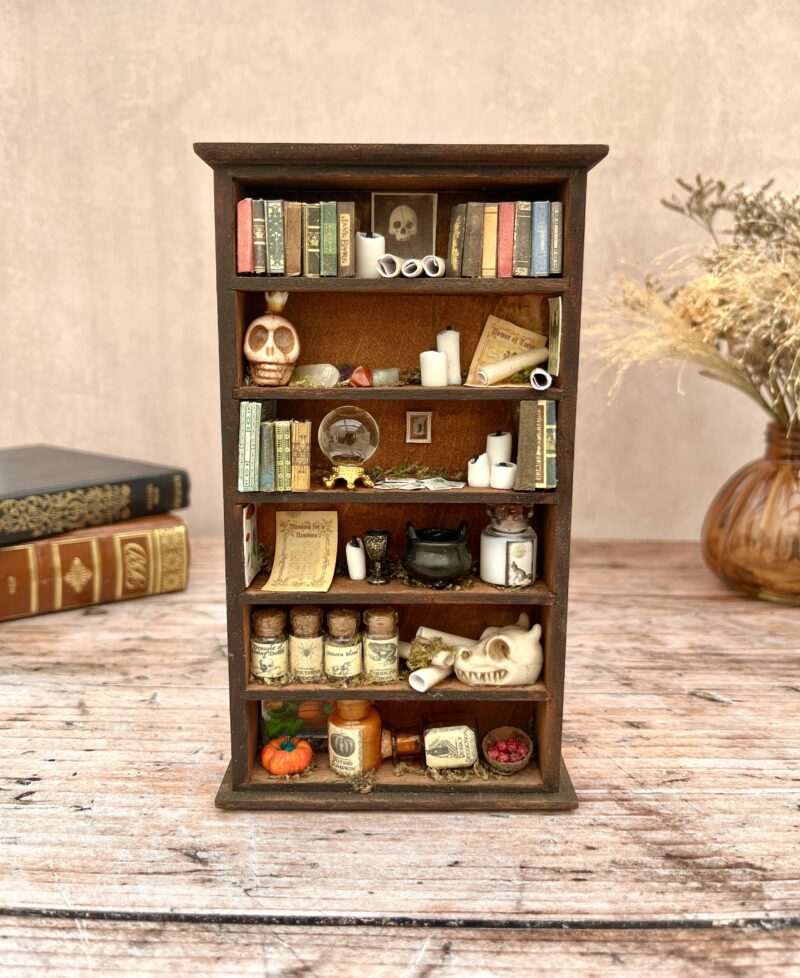 "La bibliothèque de l'Enchanteresse" - Curiosité miniature