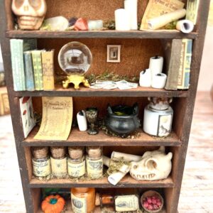 "La bibliothèque de l'Enchanteresse" - Curiosité miniature