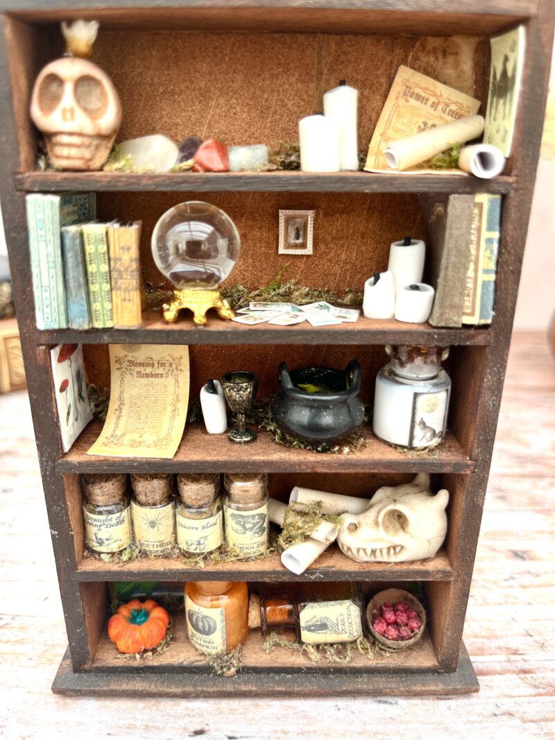 "La bibliothèque de l'Enchanteresse" - Curiosité miniature