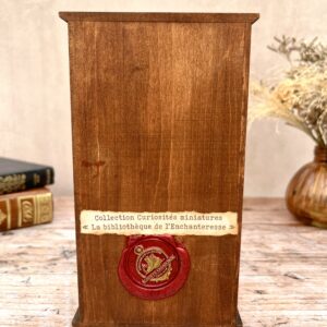 "La bibliothèque de l'Enchanteresse" - Curiosité miniature