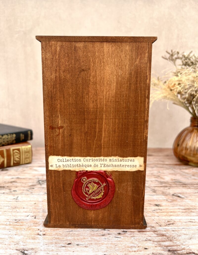 "La bibliothèque de l'Enchanteresse" - Curiosité miniature